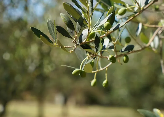 Frühstückspension Da Nic E Ste Casalbordino